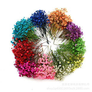 ���� �M���Ǹɻ��������l��֦�םM����diy�˱������׵��z����Ѻ��