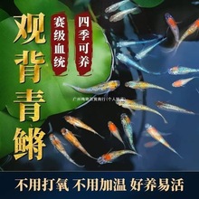 �^����ˮ�F��ź��B�~��С���ǹⷨ�^�p�~��ˮ�����ͻ�����~Ƥ��