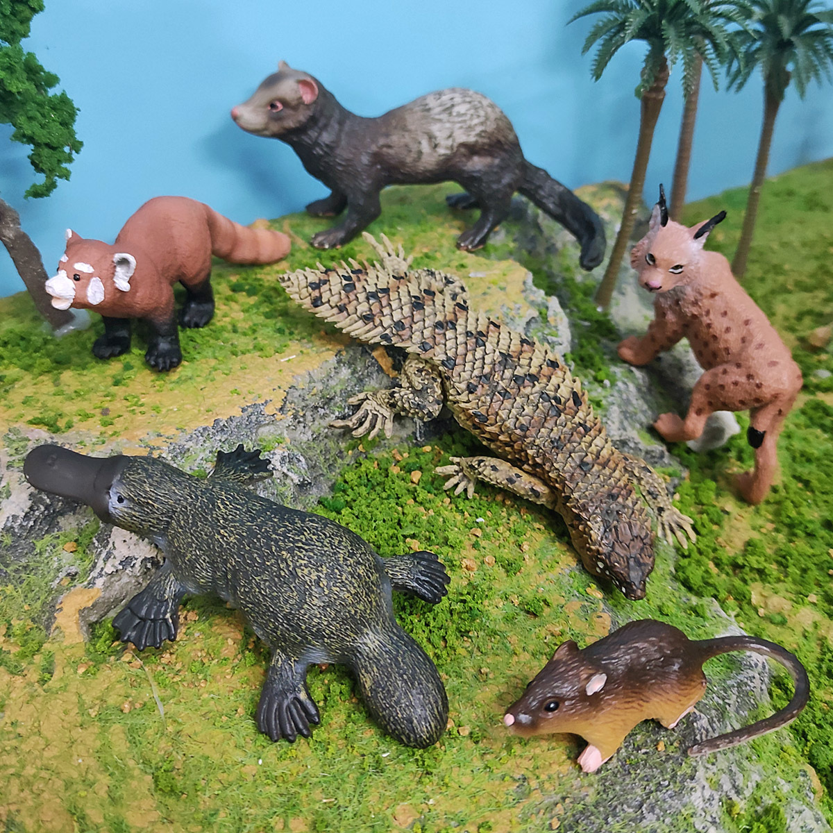 跨境仿真短尾山貓小熊貓老鼠鴨嘴獸雪貂刺尾岩蜥野生動物模型擺件