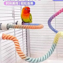 鹦鹉秋千站绳彩色棉绳攀爬新款绳索两端固定自由弯曲全网代发ZR