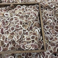 鹿角片东北特产红片泡酒干鹿茸片吉林长白山梅花鹿原产地吉林鹿血