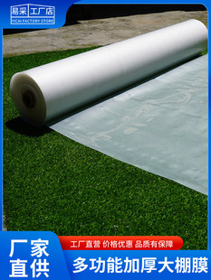 �r�ñ�Ĥ��Ĥpvc���ϼӺ�͸��������걣�������rĤ�Nֲ�AͲ