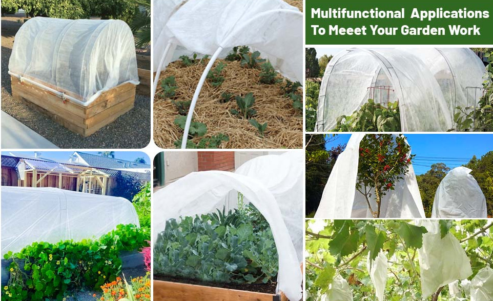 QQ图片20230605191510