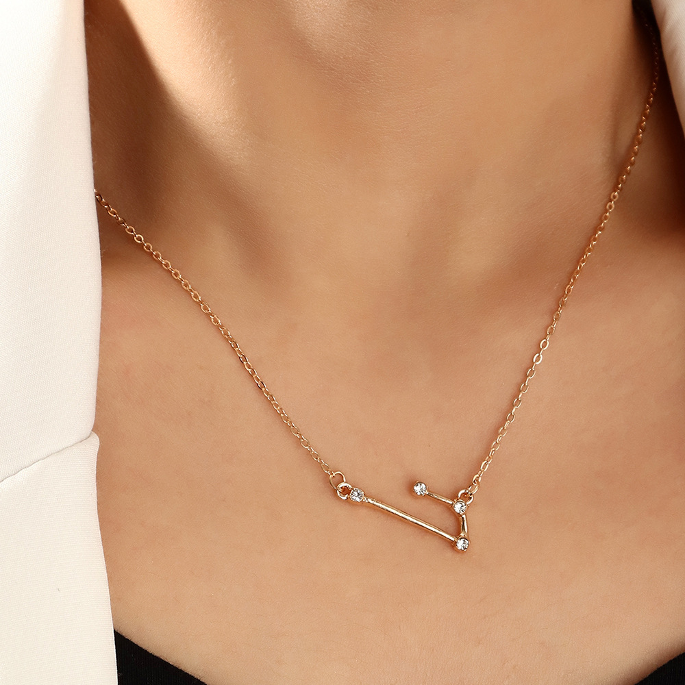 12 Twelve Constellation Diamond Necklace Brown Card Rhinestone Clavicle Chain
