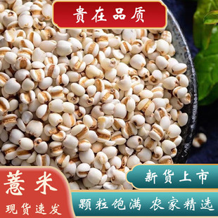 ��؛޲����500���F��С޲��޲�����r�Ҿ��x޲���w��M޲������