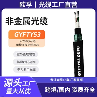 gyfty53-64/72/96/144b1国标室外铠装光缆大芯数非金属frp加强件