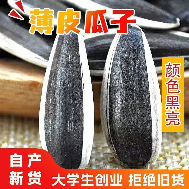 特大葵瓜子批发原味瓜子瓜子大袋生熟瓜子葵花籽内蒙大颗粒炒熟