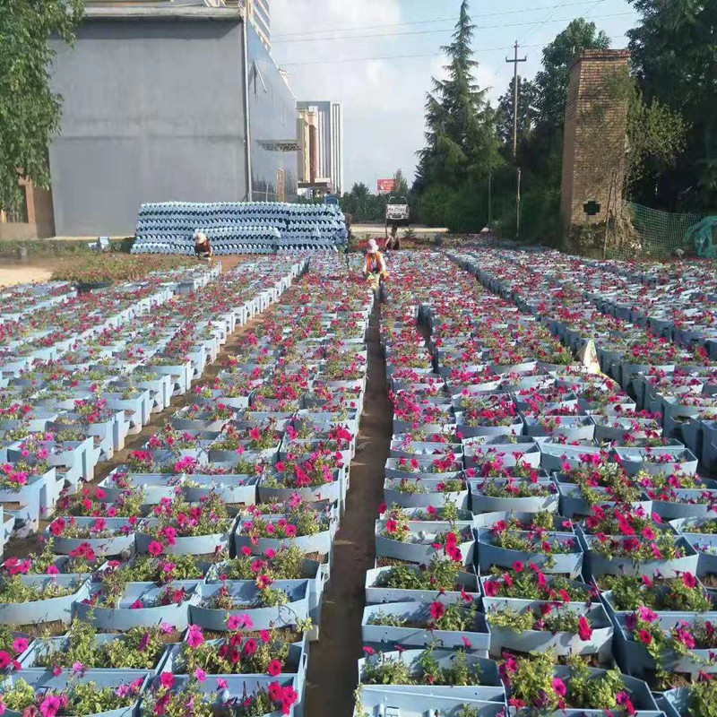 Ventas al por mayor silla de montar maceta valla puente decoración maceta de plástico resina ingeniería colgante maceta