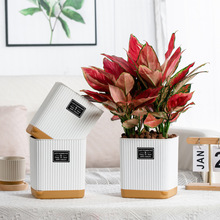 ζظ໨бPϼӺ֬ˤmlؔG}