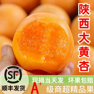 ��S������S�������rˮ�������ش��������֭����������l