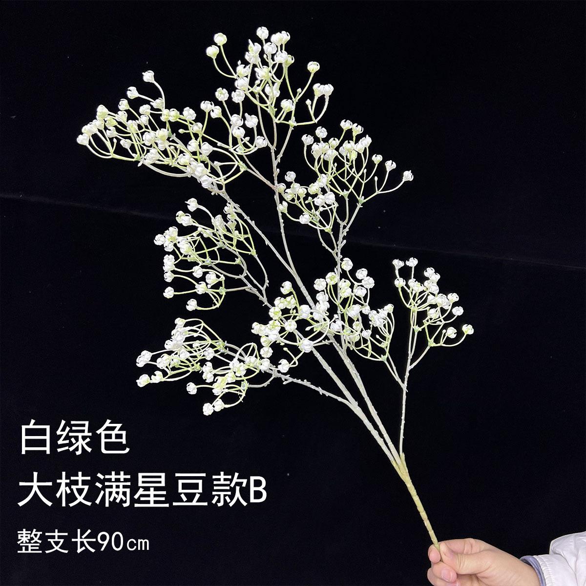 Ramas grandes llenas de frijoles estrella B - verde blanco