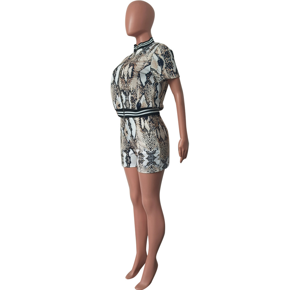 Damen Zweiteiler Set Schlangenmuster Strickjacke Und Shorts_voghion.com