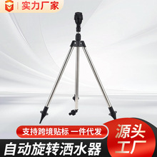 �羳�¿�P���s֧�����b�����^�Ԅ����D��ˮ���@�ֹ�ȹ���