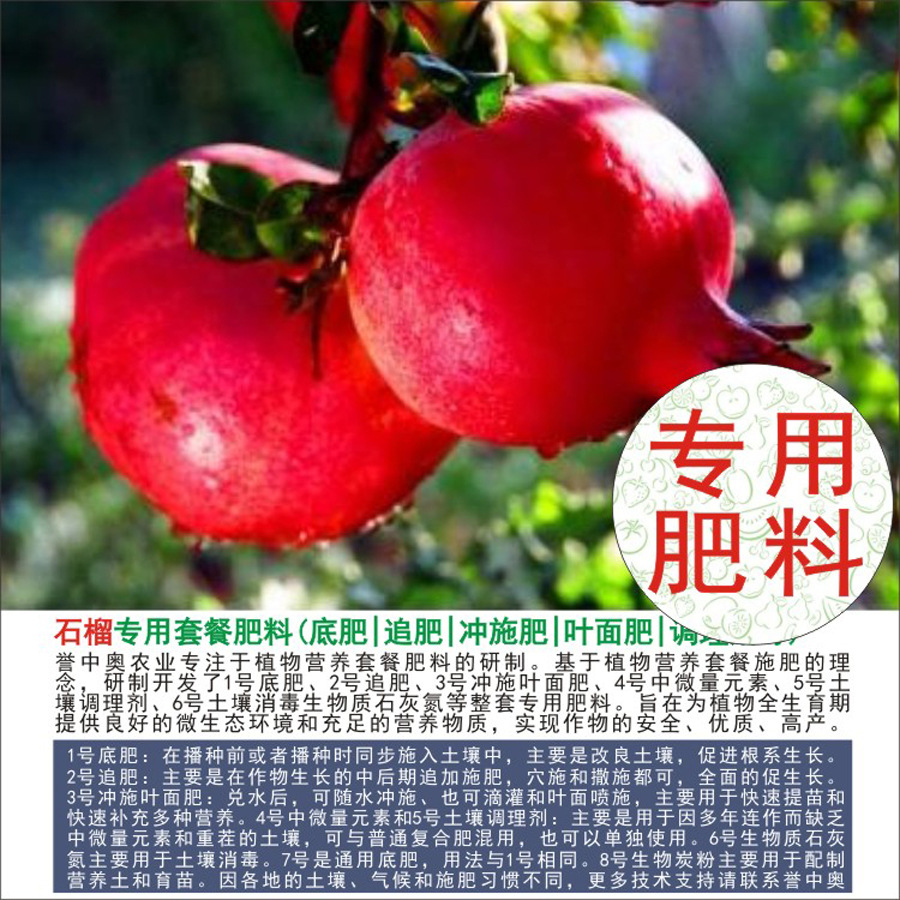 50�����а�ʯ��ר���л��ʸ��Ϸʵ׷�׷��Ҷ��ʳ�ʩ��ˮ�ܷ�