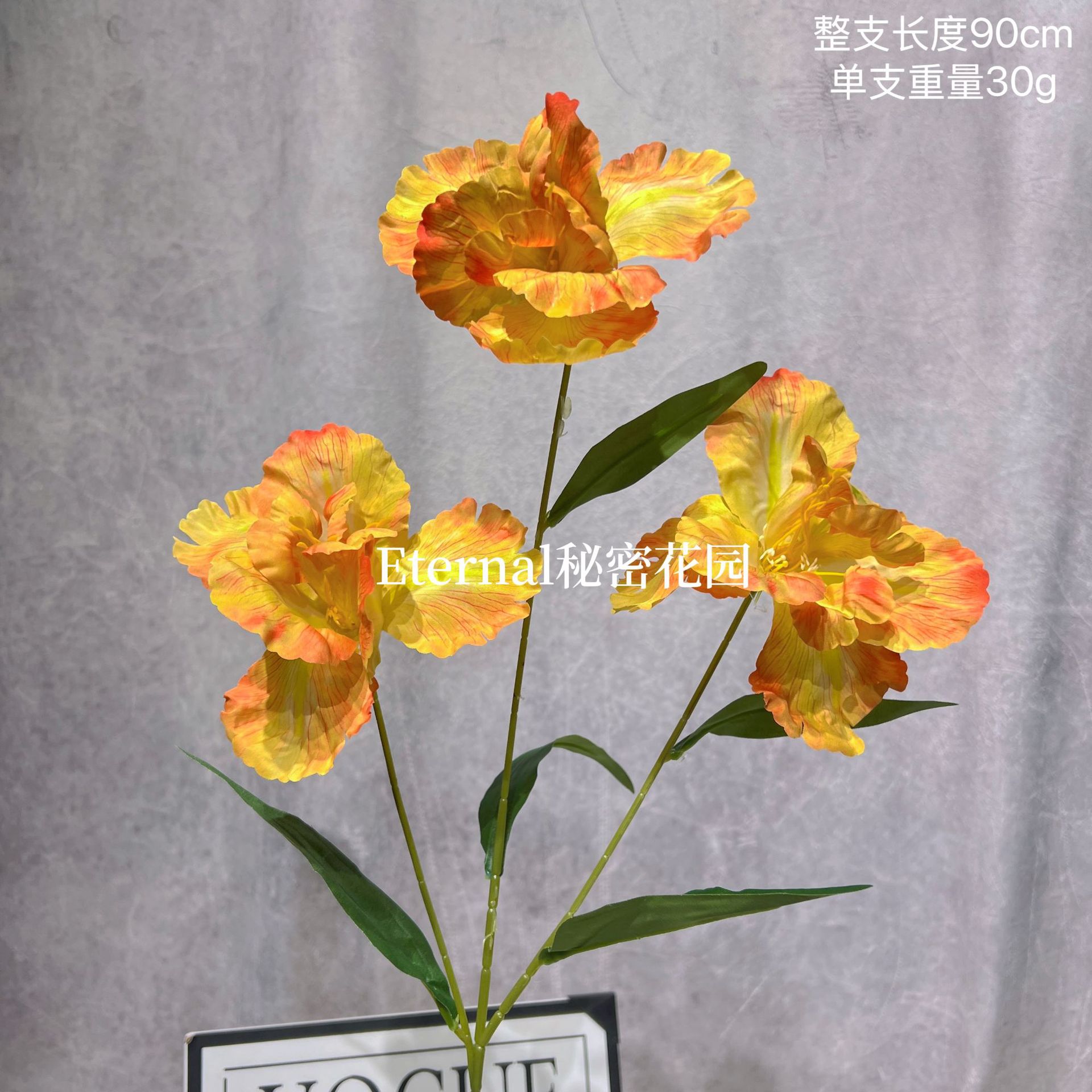 Oil painting iris orange