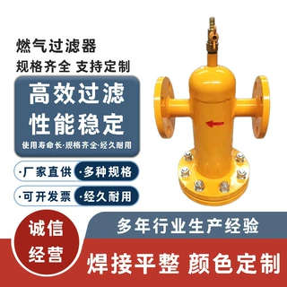 碳钢天然燃气过滤器沼气过滤设备气体管道除污器煤气管道过滤器