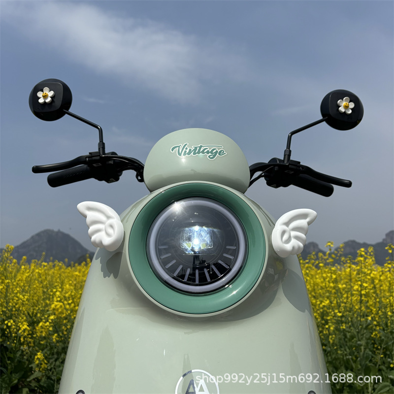 Emma Luna Accessories Electric Vehicle Decoration Accessories Stickers