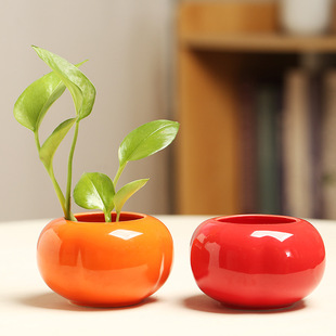 ��������ˮ�໨��ˮ�ɻ�˯ɏ��ɏ�o���մ��؃r��}�G�}ˮ�໨��