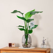 �����Bˮ��ֲ�������҃Ȼ����k���҃����՚�ˮ�B�����ļ����B�Gֲ