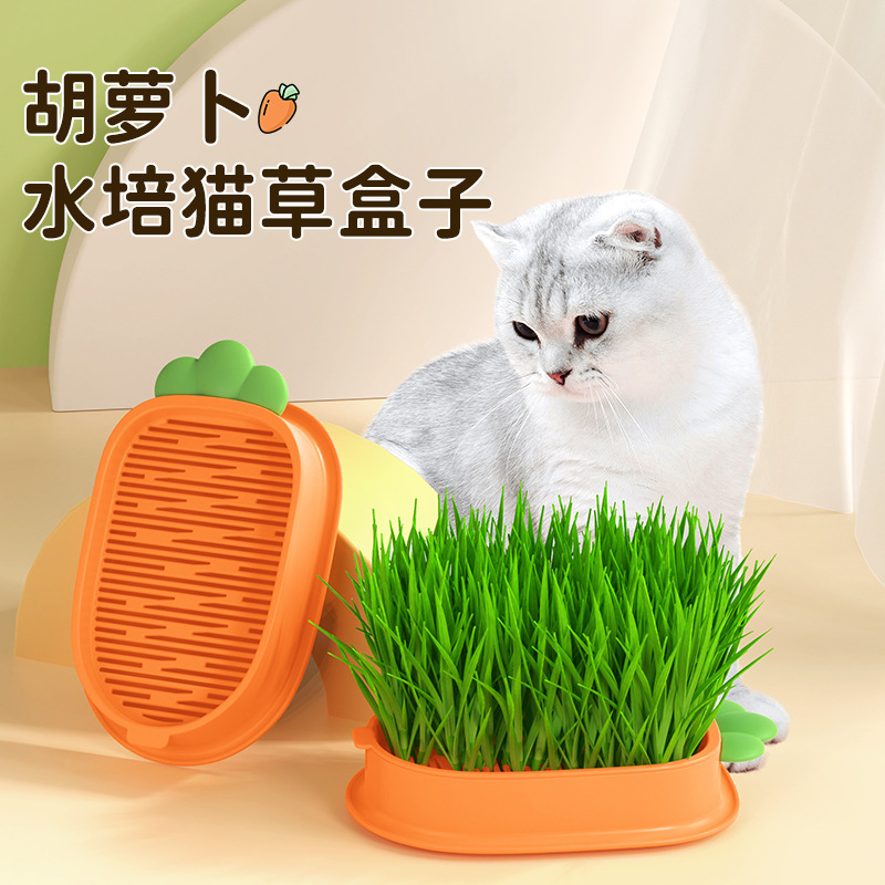 工厂新款胡萝卜猫草盒小麦种子无土水培猫咪零食猫草盆栽一件代发