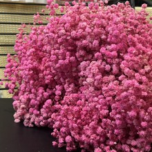 ����������M���Ǹɻ����l�滨�ؔ������Y�﹤�Sֱ����̲����x