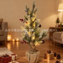 羳ledСҹֲ辰䷿g^bʟ}QbƷ