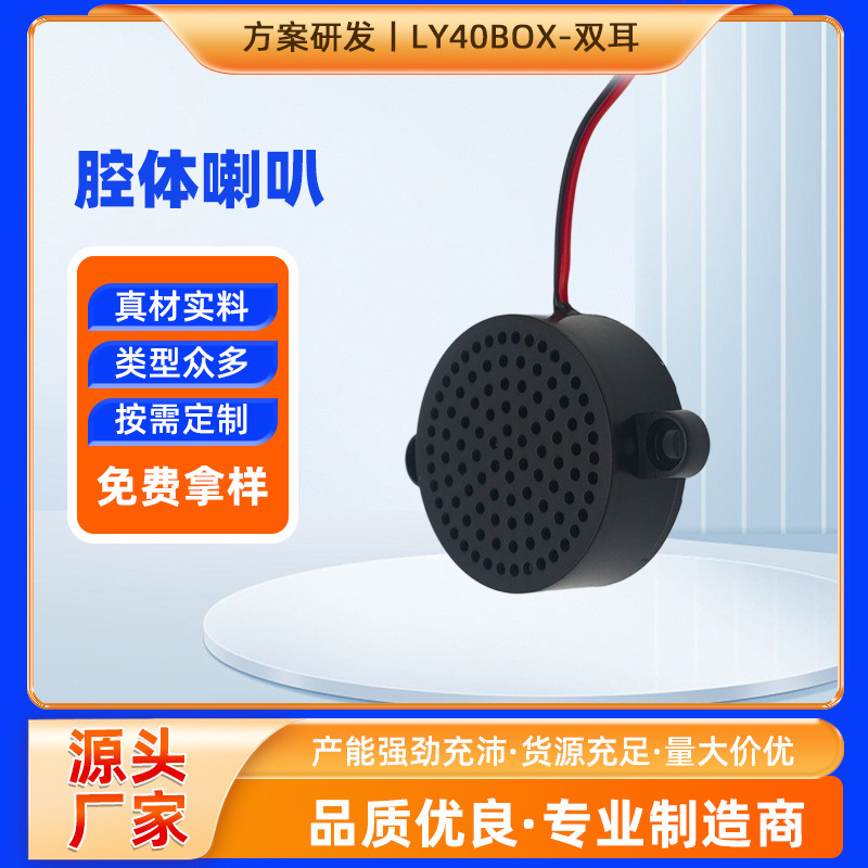 40-Cavity Dual-Ear Speaker 4R5W Projector Smart Home Medical Health Product Decorative Painting Sound Cavity Speaker