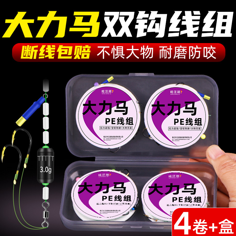 Dali Horse Line Main Line Fishing Line Fish Hook Complete Set Crucian Carp and Bighead Carp Fishing Double Hook Main Line Set