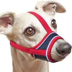 黒/赤の武士の犬の口のカバーは光を反射して柔らかいナイロンの口のカバーはしっかりしています。