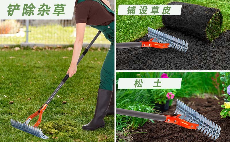 O1CN01PtrJCY1kAXnrr5mPH_!!9836