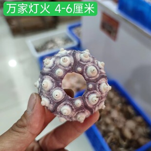 ��Ȼ��đ�����l�ֹ�diy�Ą�����Сҹ���՚��P�湤ˇؐ�����ݘ˱�