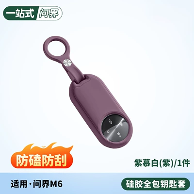Static Rod/Key Bag — Accessories Cross-Border Export - m6-key-protective-cover-purple-mubai-no-specifications