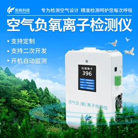 其他气体分析;气体检测仪;在线监测仪