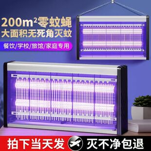 ���ß����ò�����䁜�ω���T׽�nω����������ß�늚��ß�