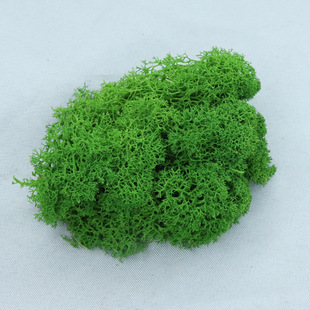 ������diy�����滨̦�\��̦�Z¹�\�����b�A��500g���r�����l