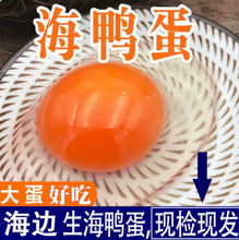 �V�������������t�������r����������������������30ö�b