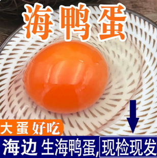 �V�������������t�������r����������������������30ö�b