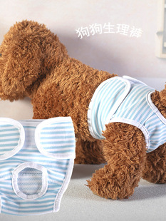 ��������ѝĸ̩�ϱ��ܰ�ȫѝ�l��ѝ�½��ڷ��}�_�����̋�ѝ���}�_