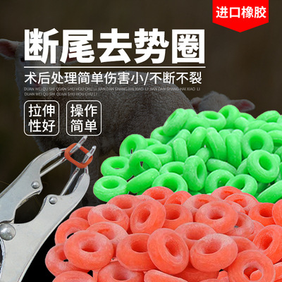 Anillo de rotura de cola veterinario directo de fábrica alicates de expansión elástica de aleación de cerdo alicates de rotura de cola de cerdo anillo de castración sin sangre de ganado y ovejas