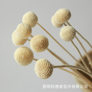 ����������Ư���S������ϱ��r�����Ҿ��b廨�zӰ�S�����l
