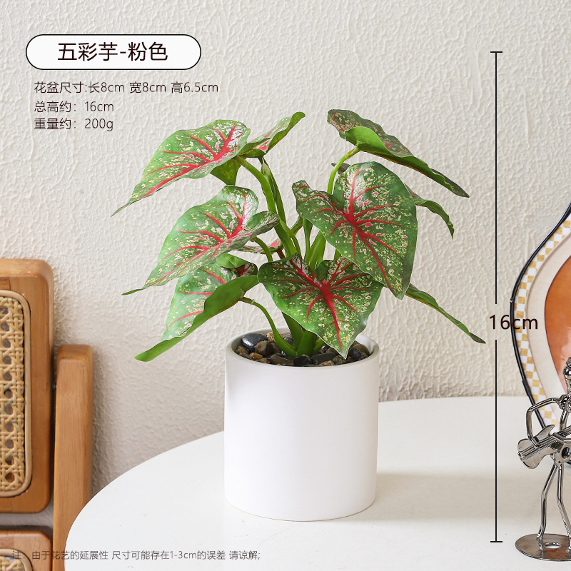 Oficina de escritorio de imitación de plantas verdes suculentas macetas interiores cerámicas adornos en plantas biónicas falsas flores bonsai