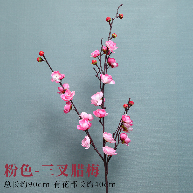 세 갈래의 분홍색 차가운 자두