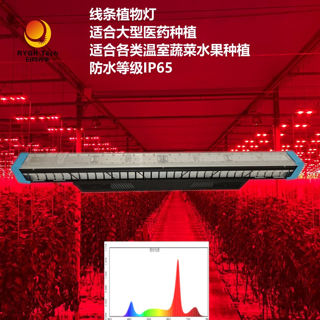 LED plant lamp