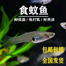 ԭ���~ʳ���~��ˮ�~�^�p�~����~����~���������x���������w���