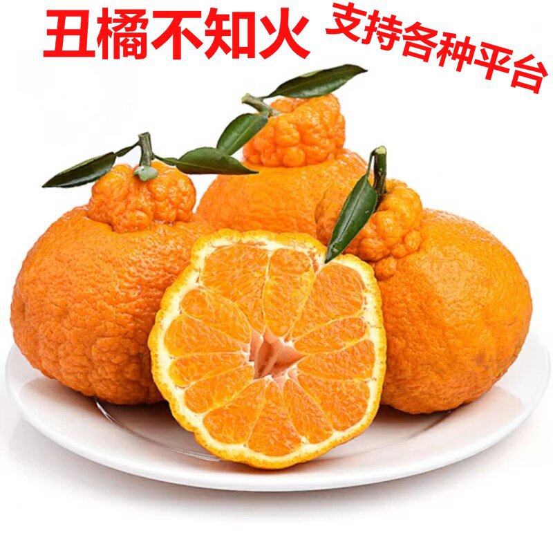四川丑橘不知火新鲜水果代发批发整箱当季包邮丑八怪非耙耙柑现摘