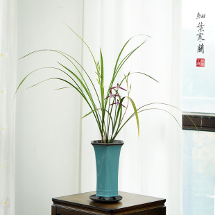 ���~���m���m��ʽ�����m�����Ԏ����Ժÿ͏d���������辰ֲ��