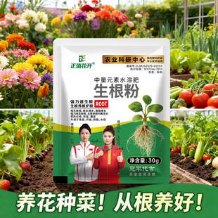 生根粉快速生根粉植物通用生根剂壮菜苗发根生根剂移栽扦插壮根素-阿里巴巴