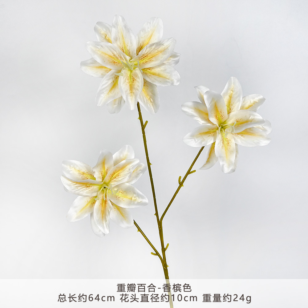 MJ-重瓣百合-香槟色