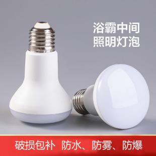 LED�������ݟ��羳 �����҃������a����E27/E14Ģ����R���ݟ�