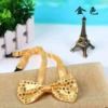 Golden bow tie